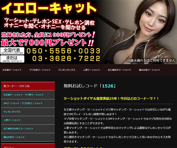 イエローキャット（YELLOW-CAT）の紹介と詳細